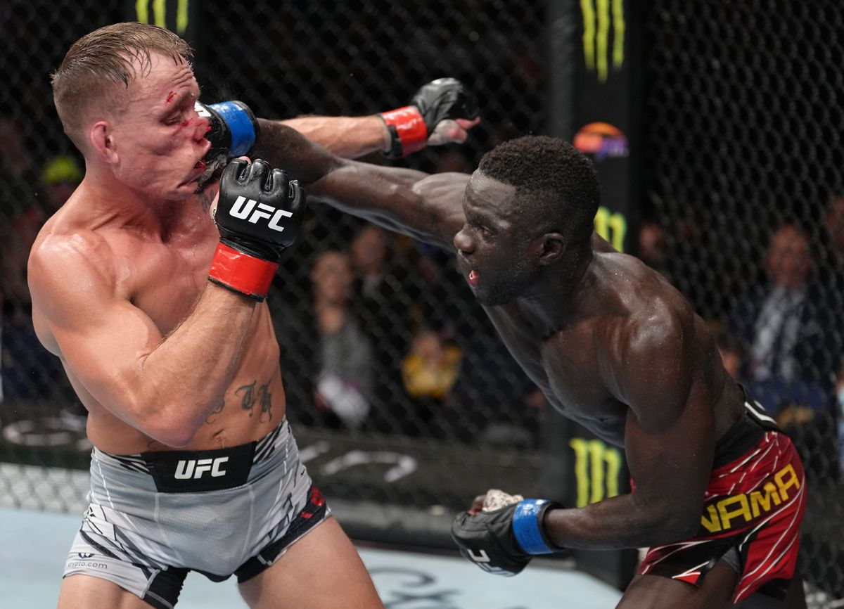 The Ultimate Guide to Watching UFC Fights Live for Free with Reddit UFC Streams