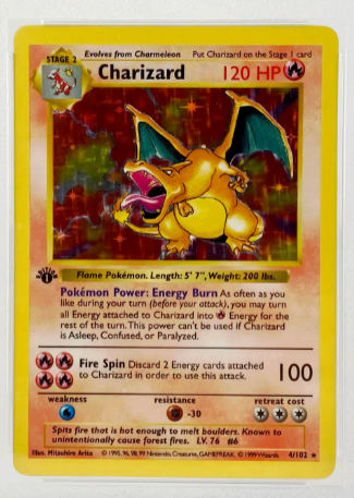 Discover Rare Cards at a Local Pokemon Show