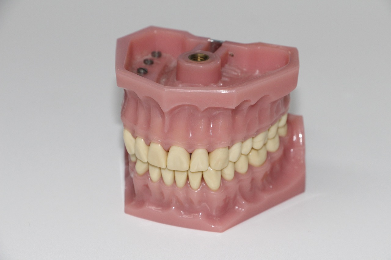 Dental prosthesis, artificial teeth, dentition — Affordable Dental, Vision, and Hearing Insurance for Seniors: Top Coverage O